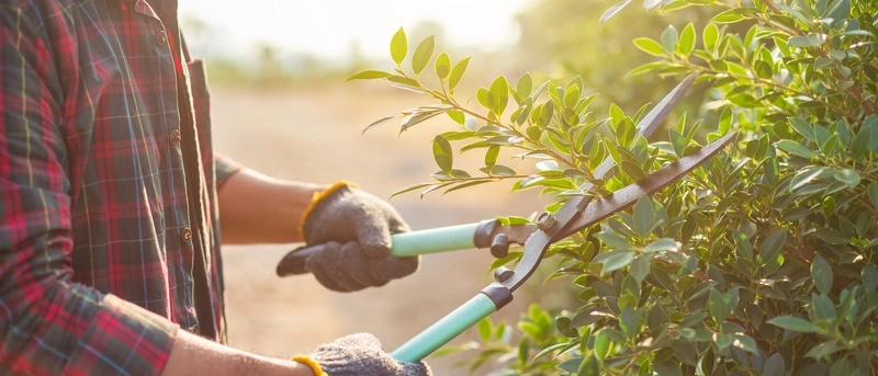 Pourquoi choisir mes services d'entretien ?