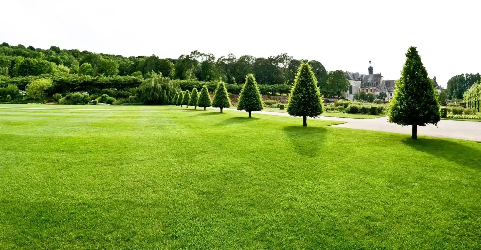 <span>Découvrez</span> nos réalisations