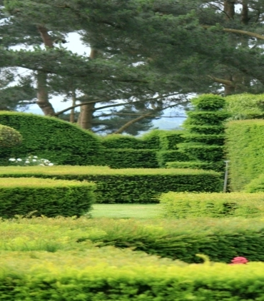 Création et aménagement de jardin