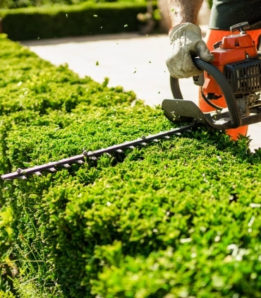 Entretien d'espaces verts
